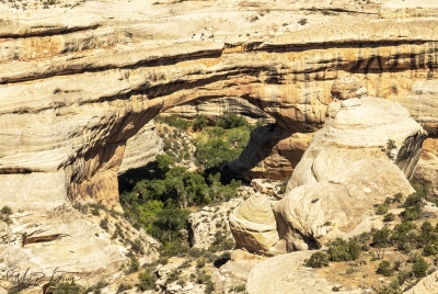 Natural Bridges Preserve June 2025